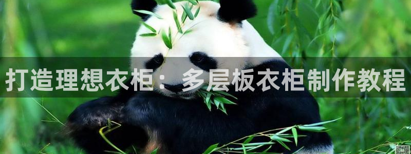 利记体育投注官网