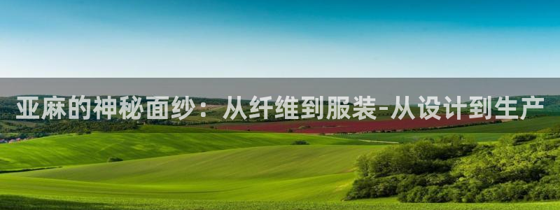 利记二手车行官网