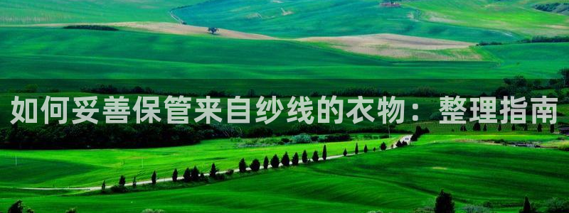 利记官网是什么