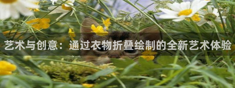 万利记唯一官网