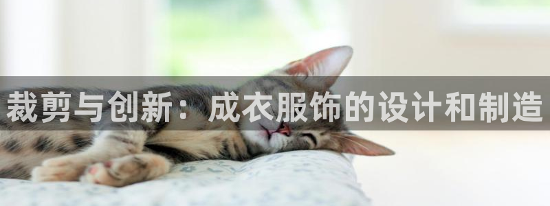 利记官网是什么