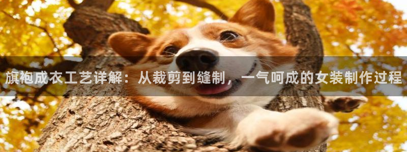 sbo利记体育官网