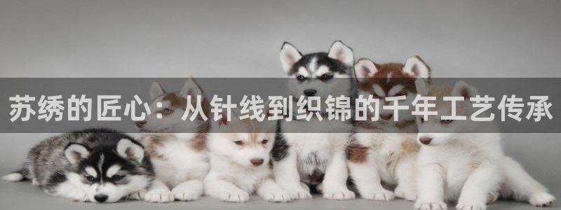 利记官网在线投注