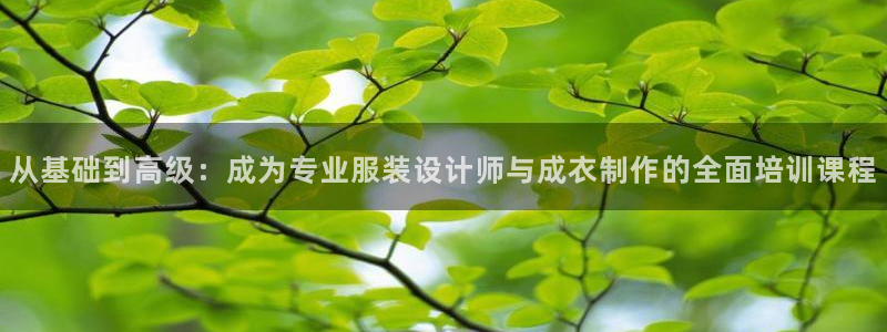 利记厨具官网售后
