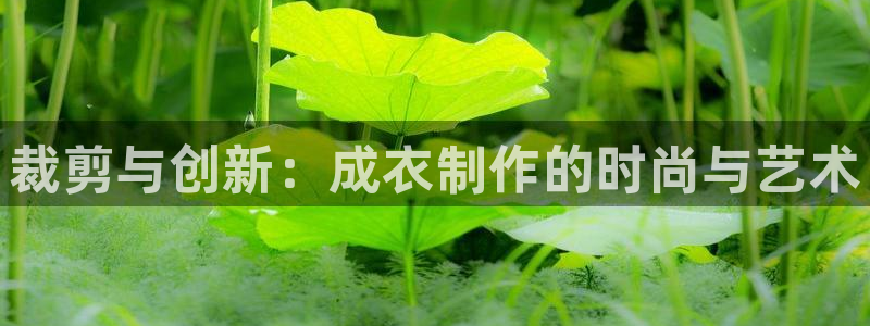 利记彩票平台官网