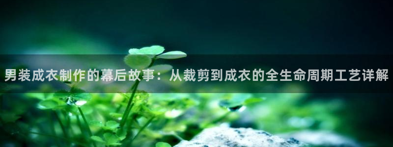 利记平台官网首页