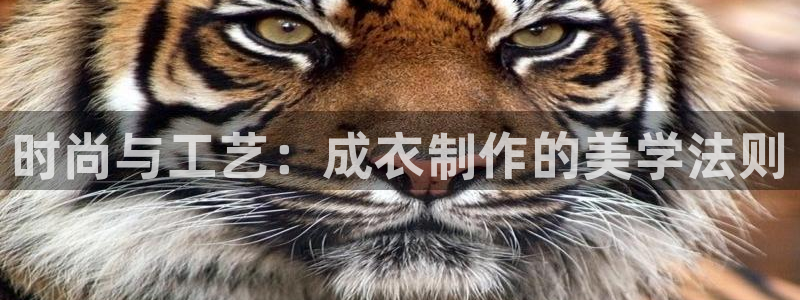 利记app官网真人游戏