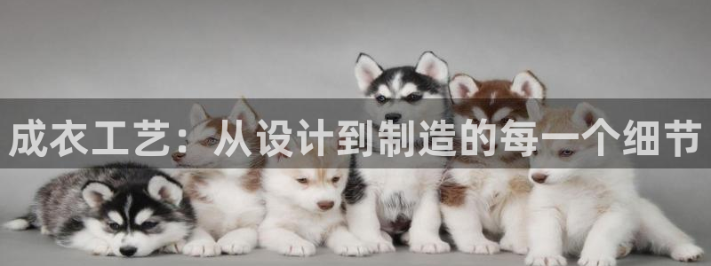 利记体育平台官网