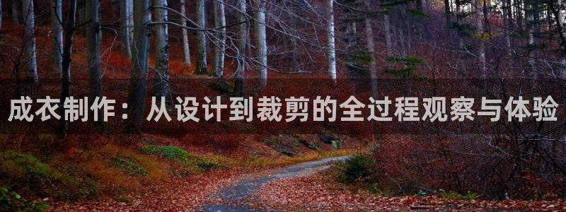 利记官网日亚运比