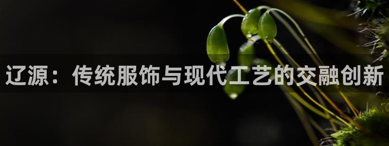 利记手机官网电子mg官方网站