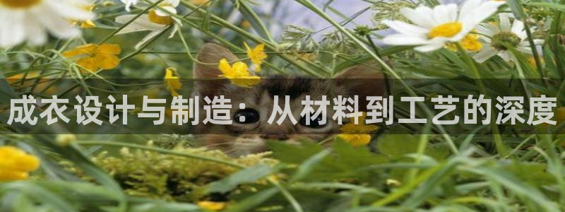 利记网官网网址