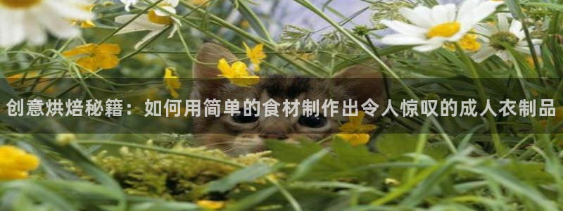 利记体育官网首页