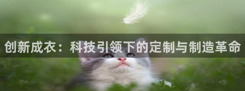 利记官网入口最新版