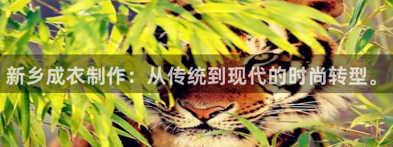 万利记官网电话