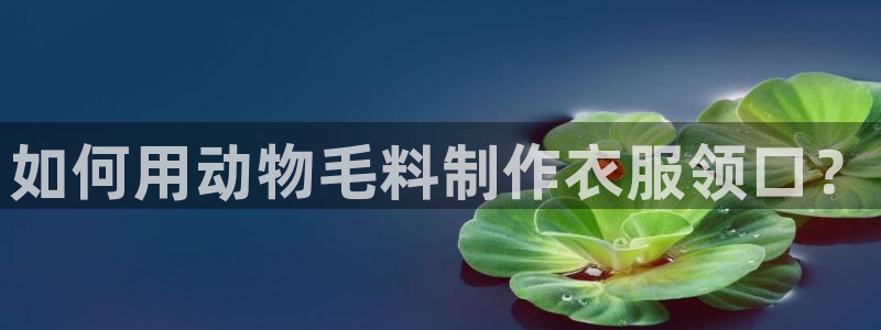 澳门大利来记官网