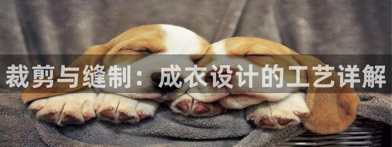 利记体育手机版官网