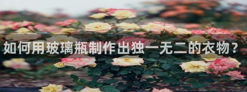 利记博彩官网APP