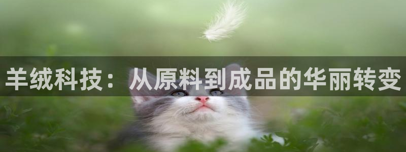 利记彩票官网hd71