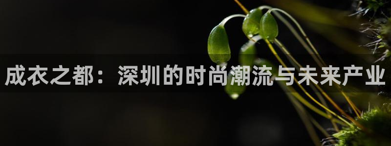 利记体育app官网