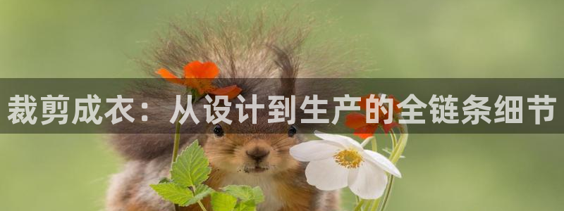 利记sbobet官网电脑版