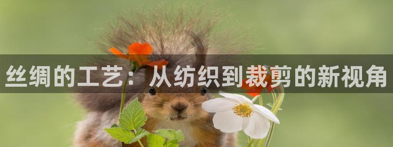 利记官网入口最新版