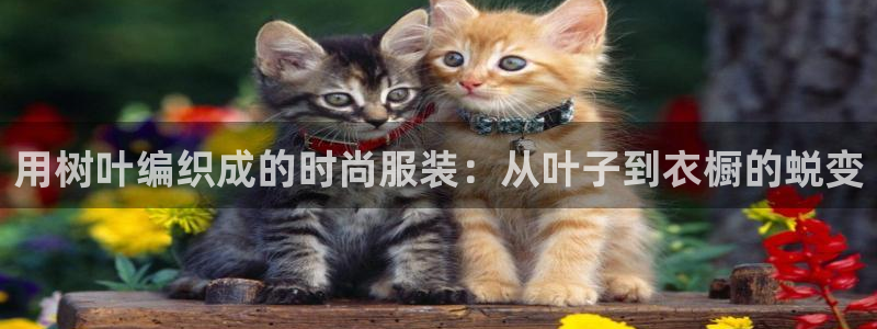 利记彩票官网wx678 com