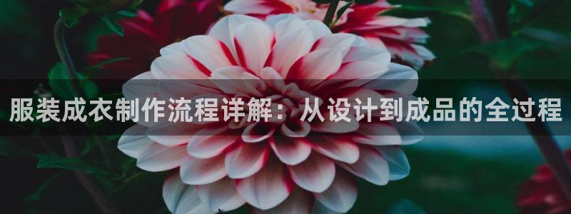 利记sbobe官网