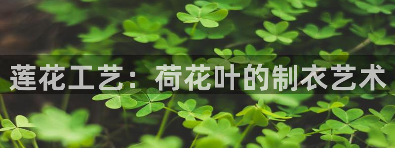 利记app官方官网登录