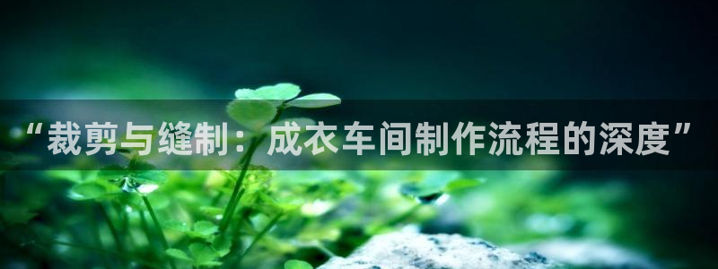 利记彩票官网wx678 com