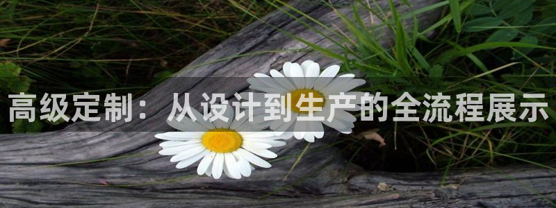 利记官网app下载网址日博官网网址