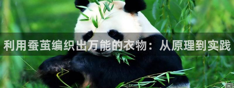 利记 官网