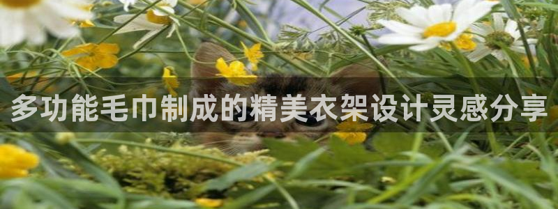 利记官网多少