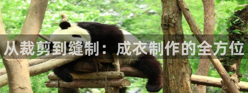 利记手机官网入口