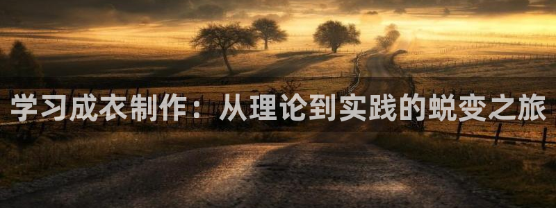 新利记官网